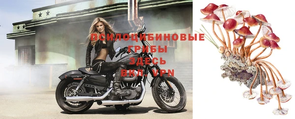 марки nbome Сясьстрой