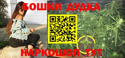 сатива Беслан