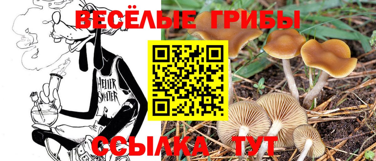 Галлюциногенные грибы прущие грибы Тулун