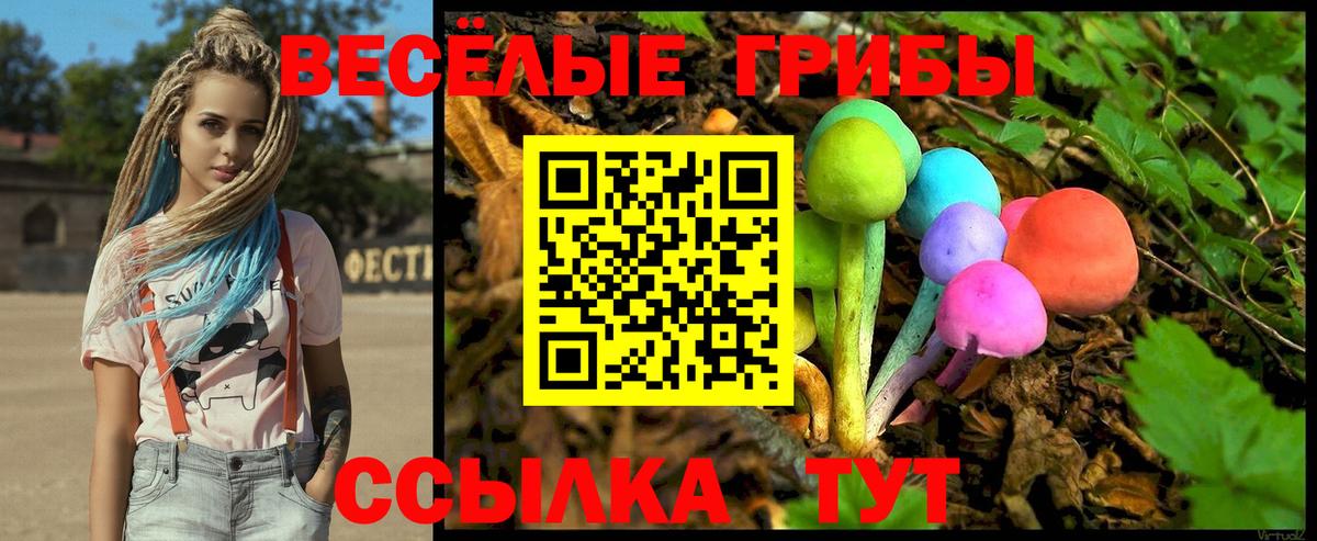 Галлюциногенные грибы GOLDEN TEACHER  Псилоцибиновые грибы ЛСД  Вход с VPN  Тулун 